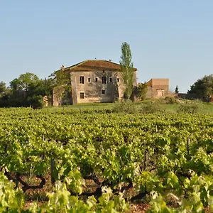 Hotel Mas Castell De Gimenelles, Sant Jaume dels Domenys